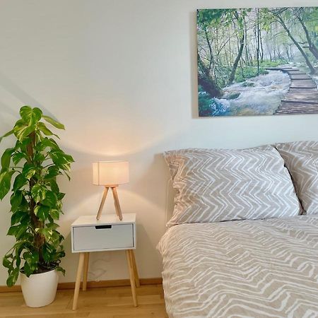 Central 55M2 Flat With Balcony & Parking Vienne Extérieur photo