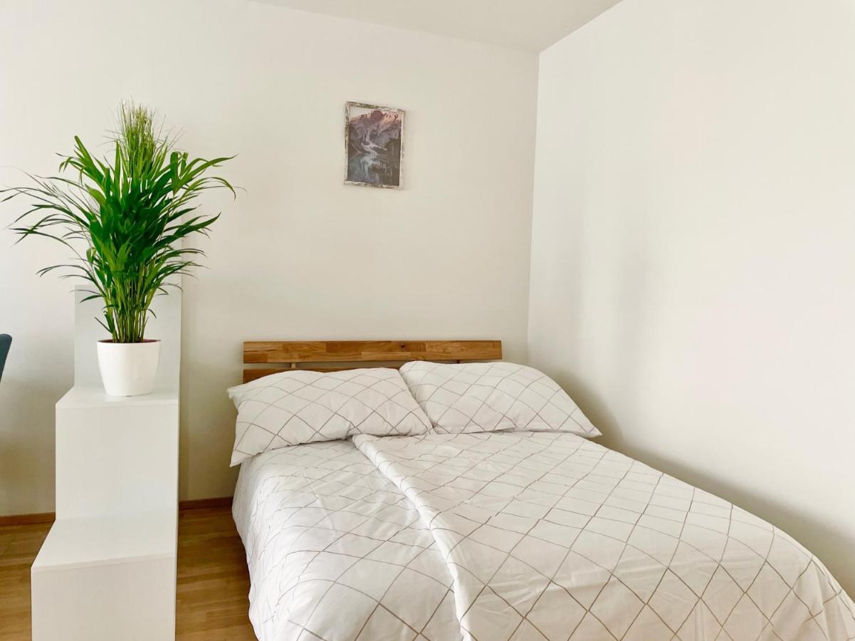 Central 55M2 Flat With Balcony & Parking Vienne Extérieur photo