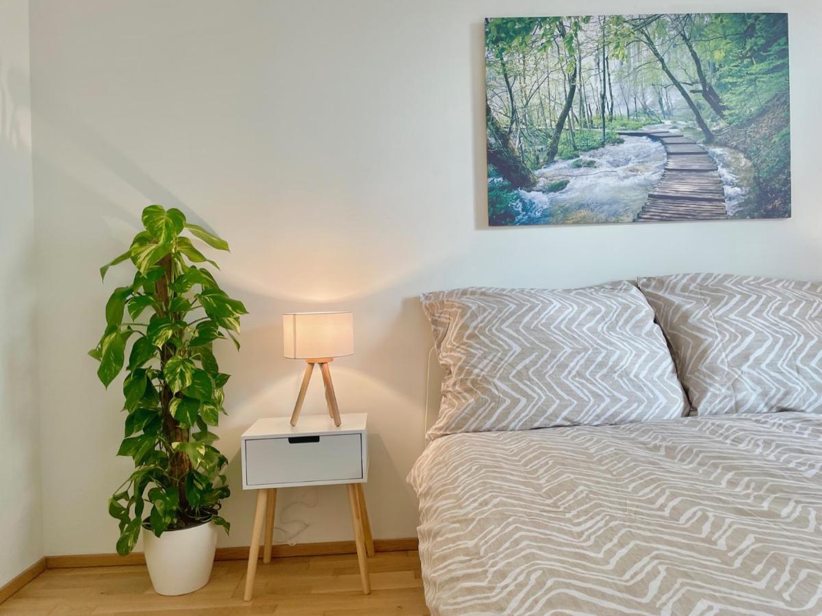Central 55M2 Flat With Balcony & Parking Vienne Extérieur photo