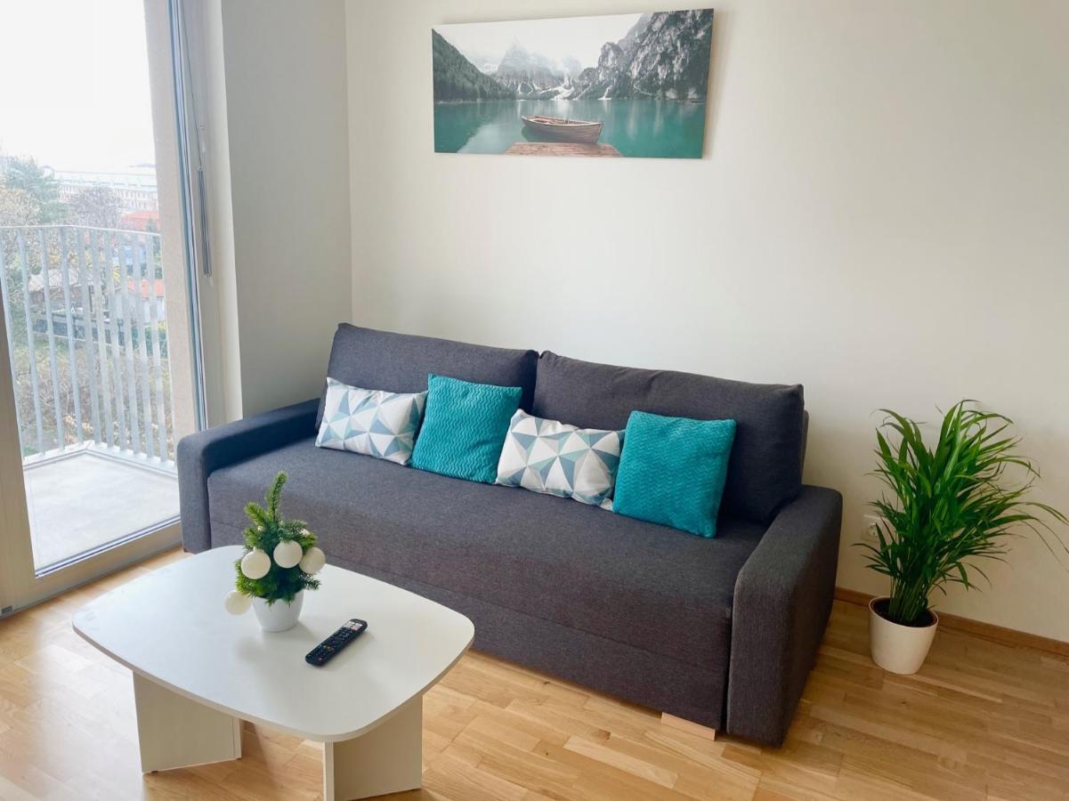 Central 55M2 Flat With Balcony & Parking Vienne Extérieur photo