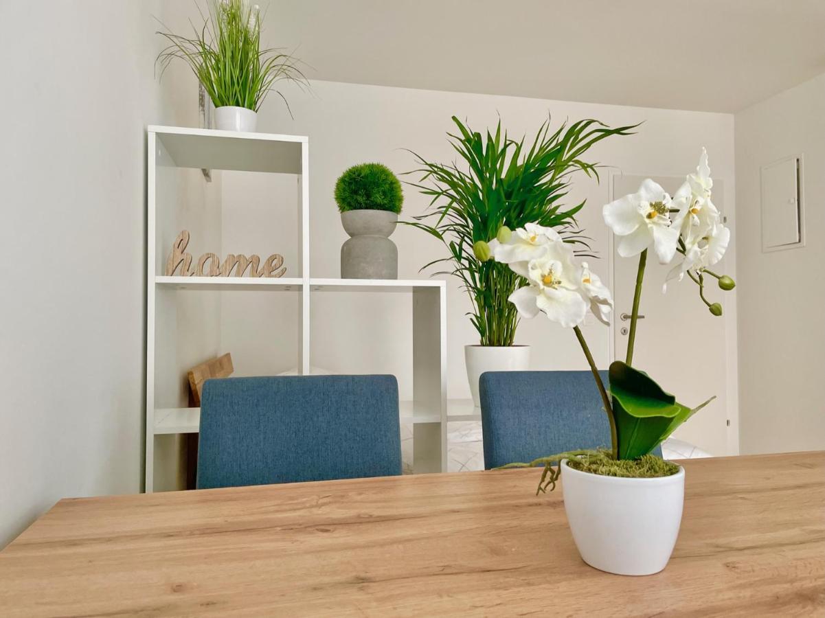 Central 55M2 Flat With Balcony & Parking Vienne Extérieur photo